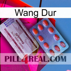 Hard Wang 36